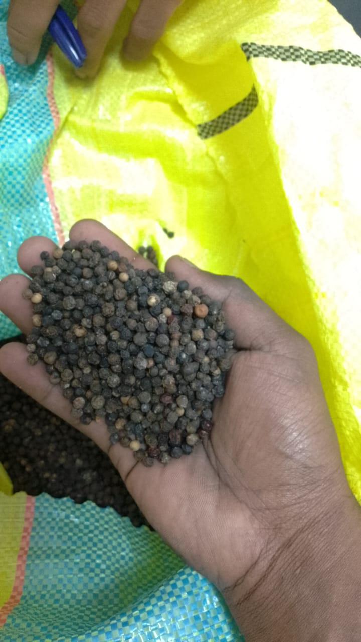 Assorted Sri Lankan spices 4